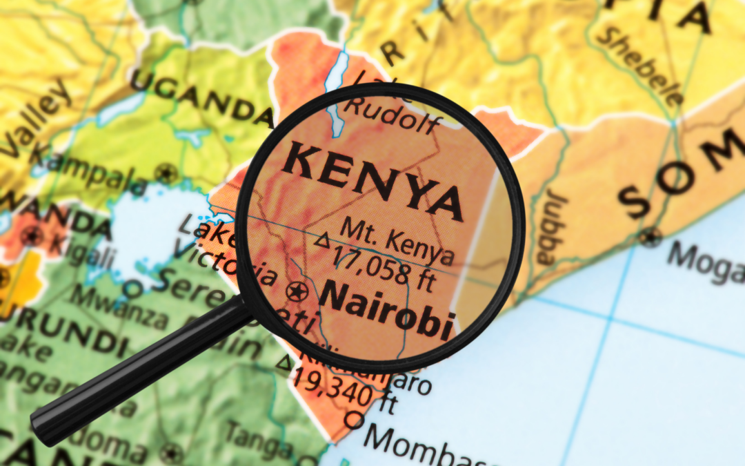 Kenya’s FATF “Grey Listing” – What Kenyan Businesses can do to Mitigate Adverse Effects